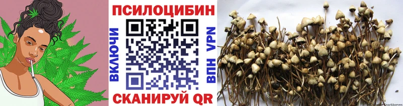 Галлюциногенные грибы мухоморы  Гусь-Хрустальный 